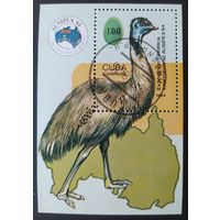 Куба 1984 блок, страус.