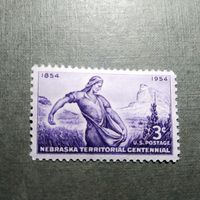 Марка США 1954 год 100 лет штату Небраска