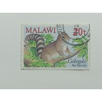 Малави 1984. Маленькие млекопитающие