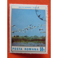 Румыния 1987г. Искусство.