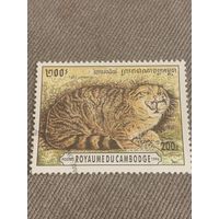 Камбоджа 1996. Тростниковый кот