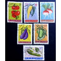 Румыния 1963 г.  Овощи.