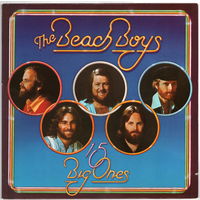 LP The Beach Boys '15 Big Ones'