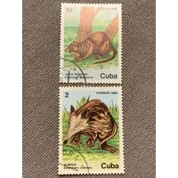 Куба 1984. Дикие животные. Марки из серии