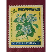 Афганистан. Флора 1962г.