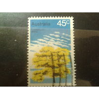Австралия 1978 дерево