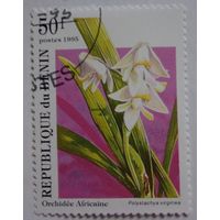 Бенин.1995.орхидея