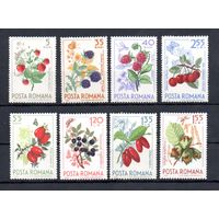 Ягоды Румыния 1964 год серия из 8 марок