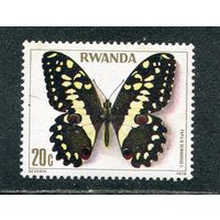 Руанда. Бабочка