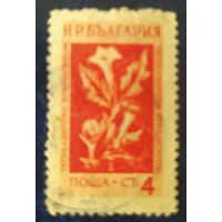 Болгария 1953 N973