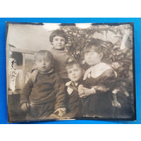 Фото детей у елки. 1950-е? 9х11.5 см