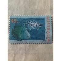 Австралия 1995. Фауна. Рыбы