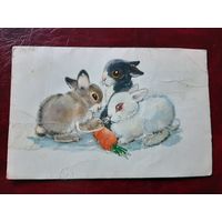 Кролики с морковкой худ. Л. Гамбургер 1968 год