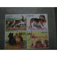 Марки - Конго фауна собаки 1997