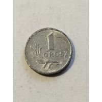 Польша 1 грош 1949