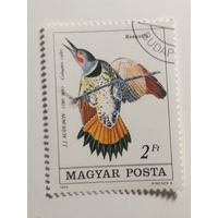 Венгрия 1985.  Птицы - 200-летие со дня рождения Джона Джеймса Одубона, 1785-1851