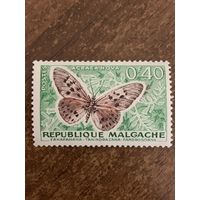 Мадагаскар 1960. Бабочки. Acraea hova. Марка из серии