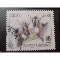Эстония 2000 Зоопарк, козлы