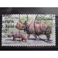 Германия 2001 носорог Михель-1,7 евро гаш зубцовка 11 1/4:11