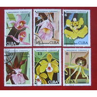 Куба. Орхидеи. Цветы. ( 6 марок ) 1980 года. 5-4.