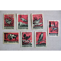 Спичечные этикетки Беловежская пуща Животные 7 штук Красные Борисов Башкирия 1960