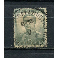Бельгия - 1912 - Король Альберт I 50C - (есть тонкое место) - [Mi.96] - 1 марка. Гашеная.  (Лот 14Dv)