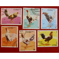 Куба. Курицы. Петухи. ( 6 марок ) 1981 года. 2-7.