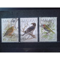 Малави 1988 Стандарт, птицы Михель-4,9 евро гаш