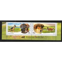 Собаки Россия 2016 год серия из 2-х марок в сцепке