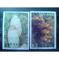 Гайяна 1988-90 Грибы Михель-5,2 евро гаш