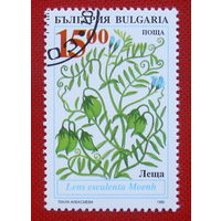 Болгария. Флора. ( 1 марка ) 1995 года.