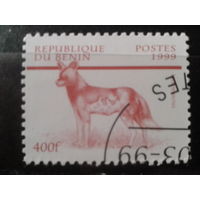 Бенин 1999 Стандарт, собака Михель-1,5 евро гаш