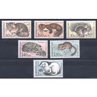 Ёж Дикие Животные Коты Фауна 1967 Чехословакия ЧССР MNH серия 6 м зуб