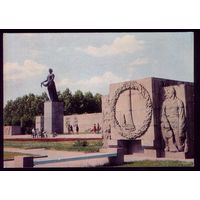 1974 год Ленинград Кладбище