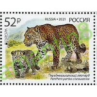 Россия-2021, 2722. Переднеазиатский леопард. Исчезающие виды животных. Фауна Европа. Марка**\\ЛЕ
