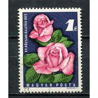Венгрия - 1972 - Цветы. Роза - [Mi. 2768] - полная серия - 1  марка. Гашеная.  (Лот 110Ct)
