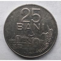 25 BANI 1966