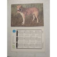 Карманный календарик. Собака.1993 год