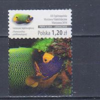 [1351] Польша 2014. Фауна.Тропическая рыба. БЕЗ КЛЕЯ.