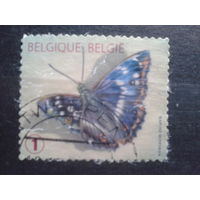 Бельгия Стандарт, бабочка