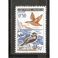КГ Сен-Пьер и Микелон 1963 Птицы