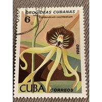 Куба 1980. Орхидеи. Epidendrum cochleatum. Марка из серии