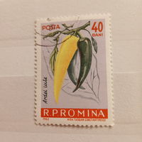 Румыния 1963. Перец