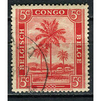 Бельгийское Конго - 1942/1943 - Пальма 5С - [Mi.204] - 1 марка. Гашеная.  (Лот 41EV)-T25P1