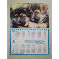 Карманный календарик . Собаки . Белпочта. 2002 год
