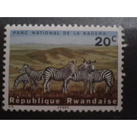 Руанда 1965 зебры