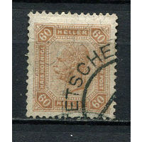 Австро-Венгрия - 1905 - Император Франц Иосиф - 60H - [Mi.131] - 1 марка. Гашеная.  (Лот 8EM)-T7P4