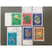 Болгария 1976 год. Цветы (серия из 6 марок)