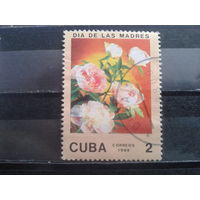 Куба, 1988. День матери. Розы