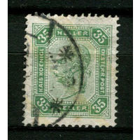 Австро-Венгрия - 1904 - Император Франц Иосиф - 35H - [Mi.114] - 1 марка. Гашеная.  (LOT G8)